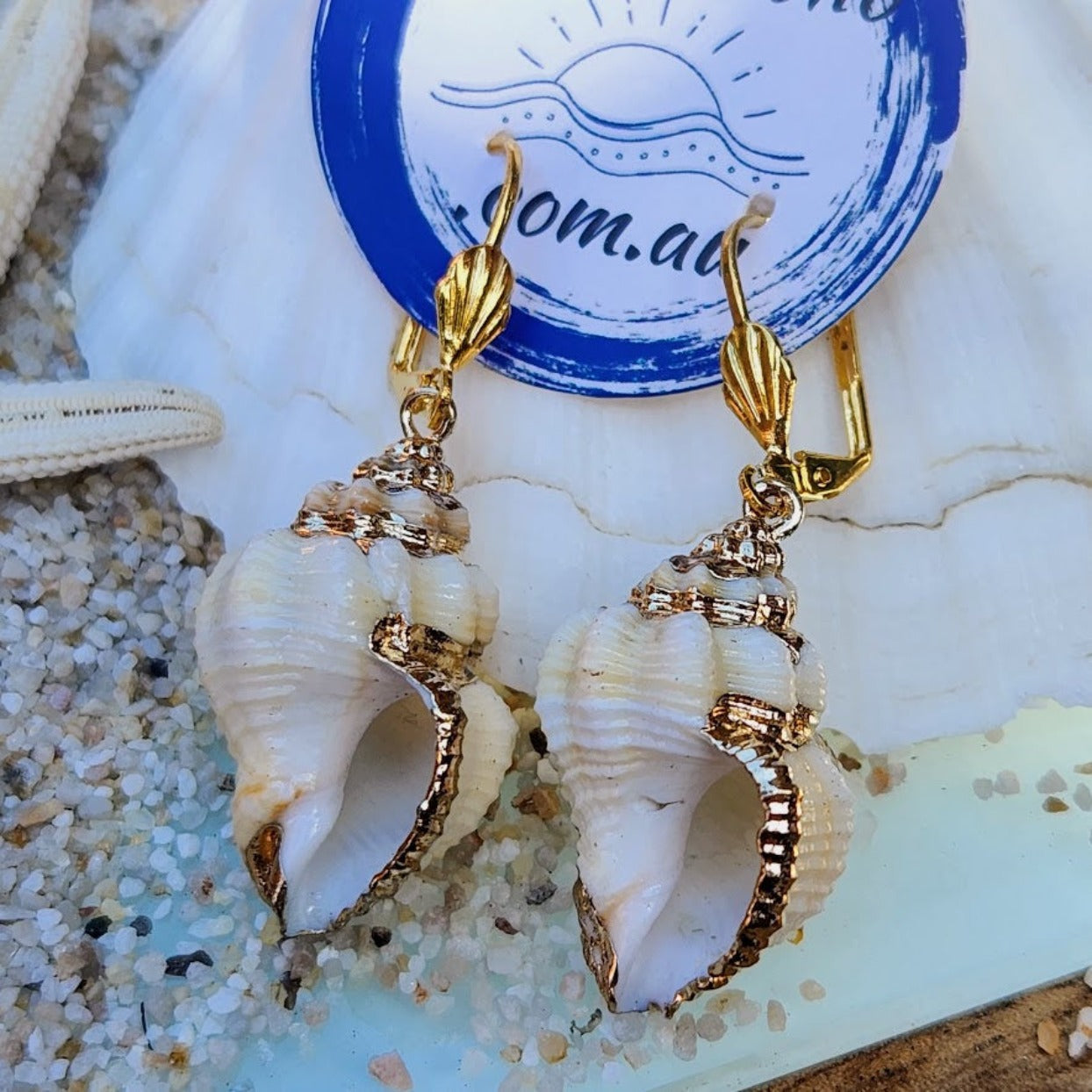 Earrings shop with shells